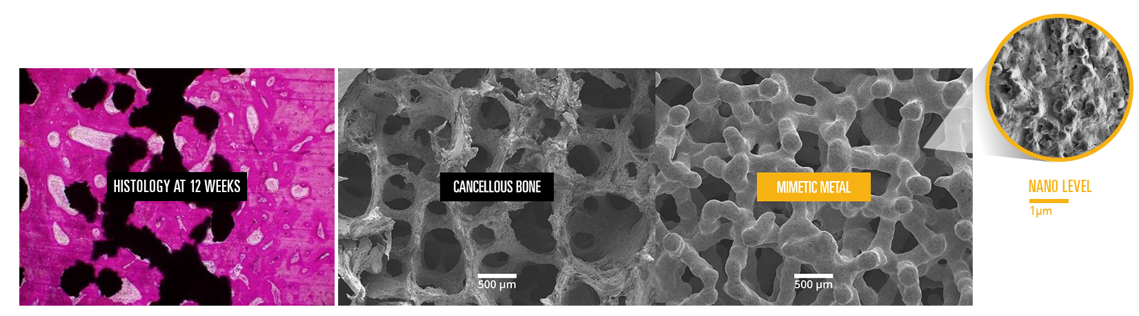 Mimetic-Metal-nano-graphics